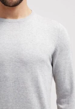 Pier One BASIC CREWNECK - Strickpullover - Light Grey 9 Pier One BASIC CREWNECK - Strickpullover - Light Grey -Günstiges Mode Verkaufsgeschäft 84bce05096b94c09b9c8a396de30ba85